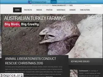 bigbirdsbigcruelty.org