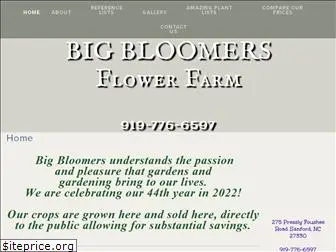 bigbloomersflowerfarm.com