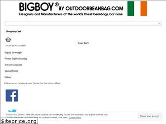 bigboybeanbag.ie