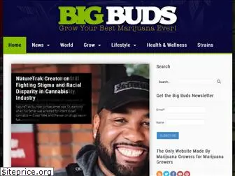 bigbudsmag.com
