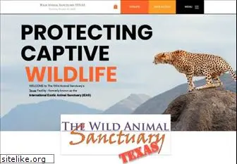 bigcat.org