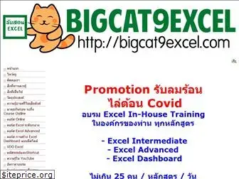 bigcat9excel.com