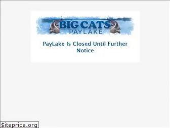bigcatspaylake.com