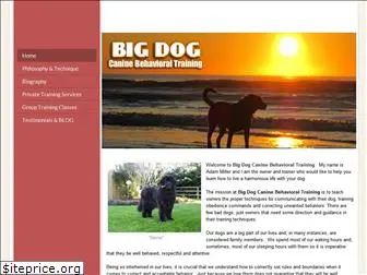 bigdogcbt.com