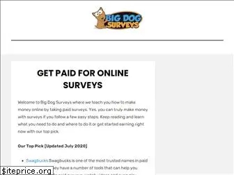 bigdogsurveys.com