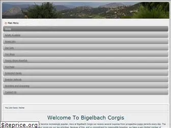 bigelbachcorgis.com