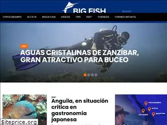 bigfish.mx