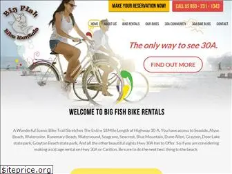 bigfishbikerentals.com