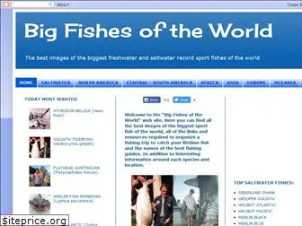 bigfishesoftheworld.blogspot.com