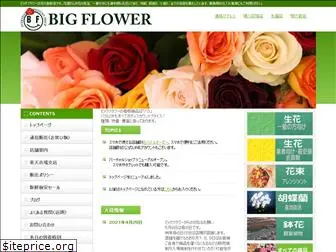 bigflower.co.jp