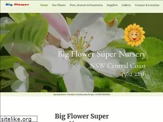 bigflower.com.au