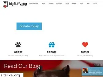 bigfluffydogs.com