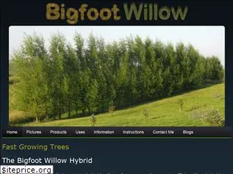 bigfootwillow.com