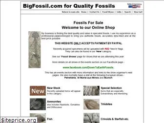 bigfossil.com