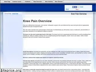 bigkneepain.com