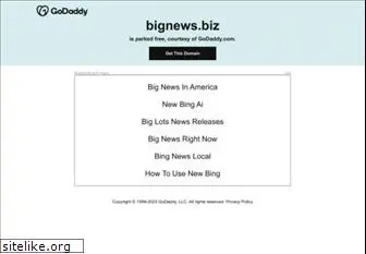 bignews.biz