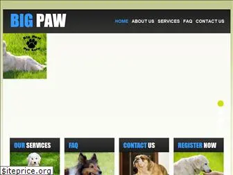 bigpawpetcare.com