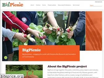 bigpicnic.net