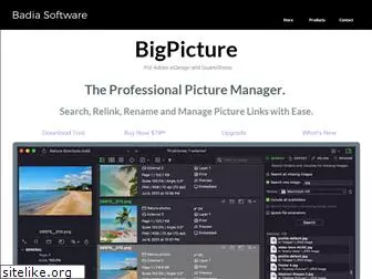 bigpicture.badiasoftware.com