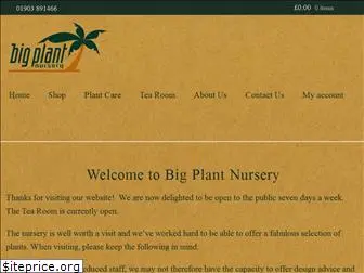 bigplantnursery.co.uk