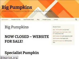 bigpumpkins.co.uk