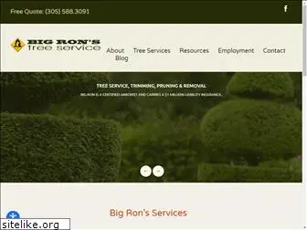 bigronstreeservice.com