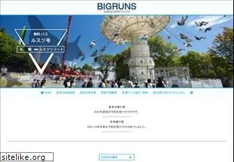 www.bigruns.com