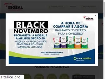 bigsal.com.br