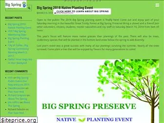 bigspringdallas.org