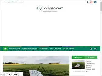 bigtechoro.com