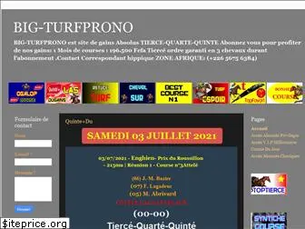 bigturfprono.blogspot.com