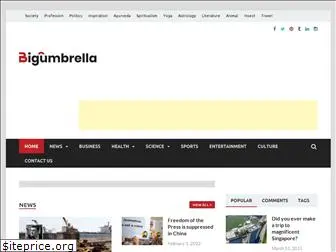 bigumbrella.co.in