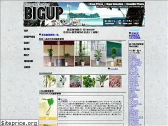 biguppalm.com