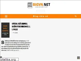 bigvn.net