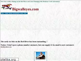 bigwalleyes.com