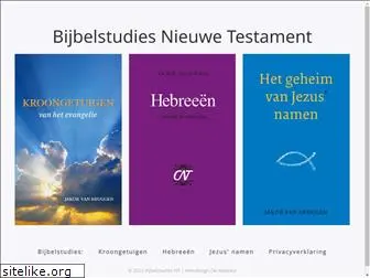 bijbelstudiesnt.nl