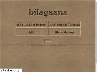 bilagaana.com