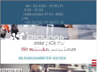 bildungscluster.at