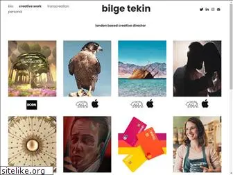 bilgetekin.com