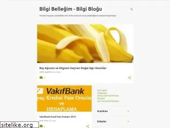 bilgibellegim.blogspot.com