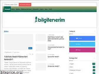 bilgifenerim.com