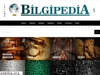 bilgipedia.org