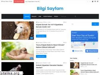 bilgisayfam.net