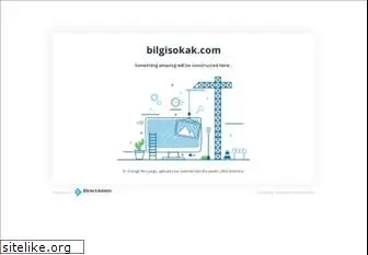 bilgisokak.com