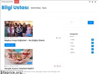 bilgiustasi.com