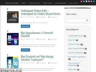 bilgiyolunda.com