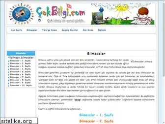 bilmece.cokbilgi.com