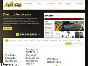binaryitsolutions.com