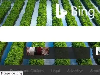 bing.com.my