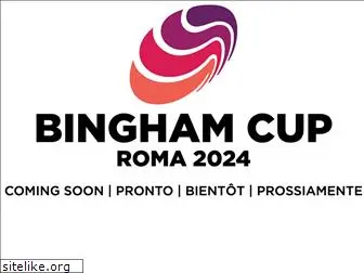 binghamcup.com